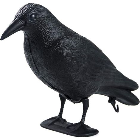 Decoy Corbeau - Corps Entier en PE - Résistant aux Intempéries - Pour Chasse et Décoration Extérieure - Noir - 1 Pièce (1/5)