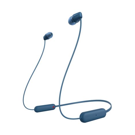 Sony WIC100L, blau (1/2)