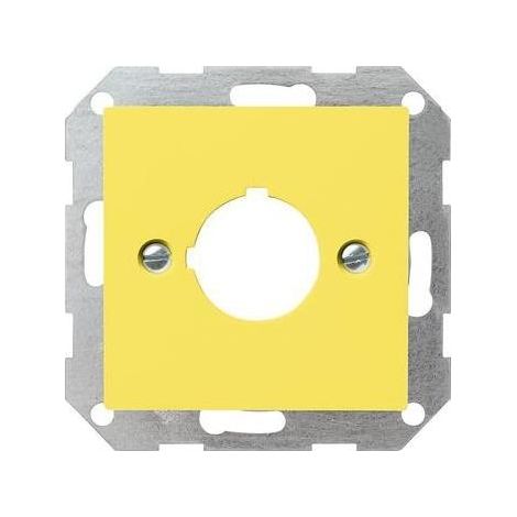 Gira Zentraleinsatz ge-gl Aufnahme 22,5mm 027102 (1/5)