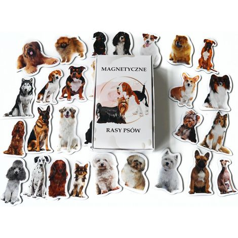Magneti - il cartone impara le razze canine (1/4)