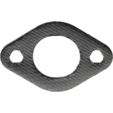 Junta BRIGGS ET STRATTON 695398