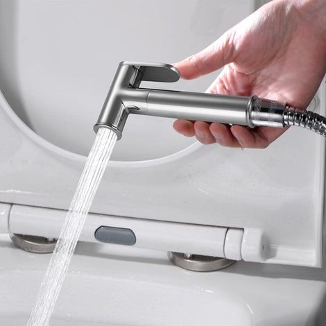 Set doccia integrato per WC con tubo flessibile, supporto, doccetta, cromato, argento (1/5)