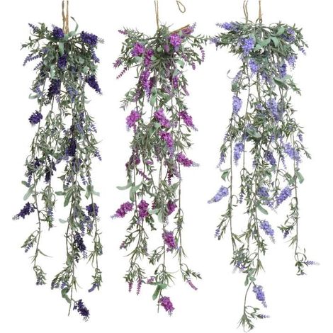 Lavanda da appendere colori assortiti (1/4)