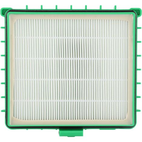 1 Filtre HEPA, Charbon actif, Plastique, Vert, Pour Rowenta Silence Force RO4421 RO4427 ZR002901 (1/5)