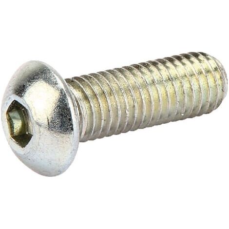Vite a testa bombata M10x30 10.9 VOGELSANG NSI009