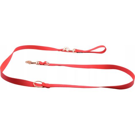 CORREA PARA PERROS NELSON-X BASIC GOLD 3 M, MOSQUETÓN, ACCESORIOS DORADOS (1/5)