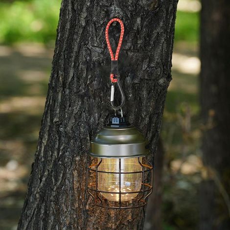 Gummibänder mit Haken, Planengummis mit Karabinern, Stretch-BHs für Zelte und Outdoor-Bergsteigen (1/5)