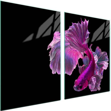 Plaque de protection en verre pour poêle 2x45x52 Poisson (1/5)