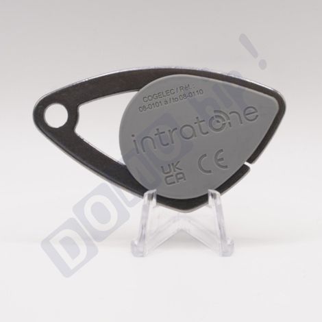 INTRATONE - Badge mifare de Proximité Intratone gris 08-0102 - Sécurisé RFID  Étanche IP68  Accès Contrôlé pour Copropriétés et Immeubles  Programmation par Syndic uniquement