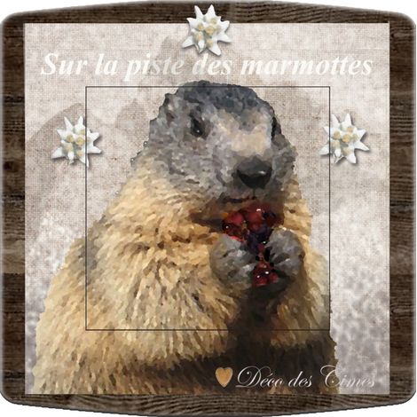 Interrupteur décoré marmotte