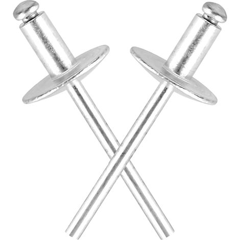Rivets Aveugles 50 Pièces Rivet Aveugle À Grande Bride Rivets à Grande Bride Rivet Aveugle à Dôme à Grande Tête DIN 7337C rivets en aluminium et mandrin en acier rivets pop (4,8x10 (16) mm (1/5)