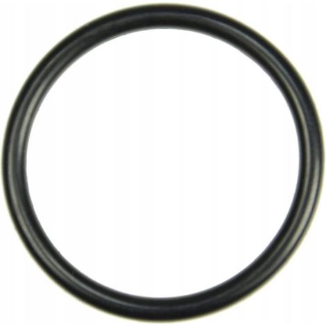 O-RING 30.2x3 54510310 URSUS Guarnizione alloggiamento assale posteriore C-330M