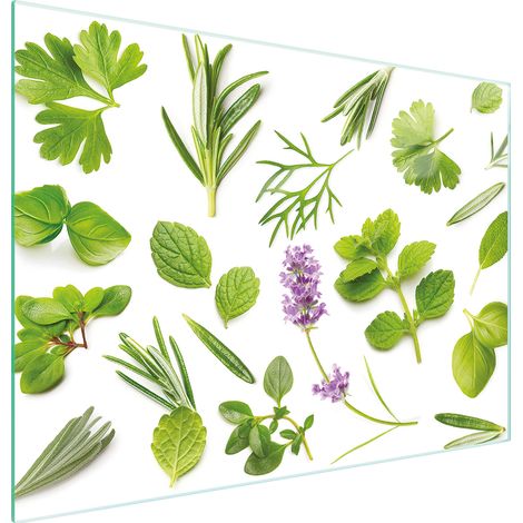 TABLA DE CORTAR DE VIDRIO 30x22 PLANTAS (1/5)