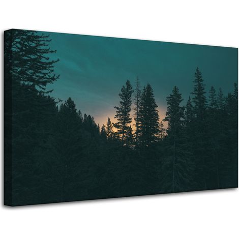 Leinwanddruck Natur Wald in der Abenddämmerung 80x50 cm Dunkelheit