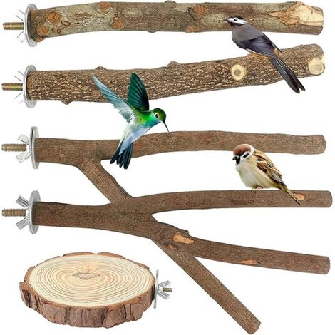 Wooden Parrot Perches Natural for Birds Holder Cages Playground Parakeets Cockatiels Canary (1/5)