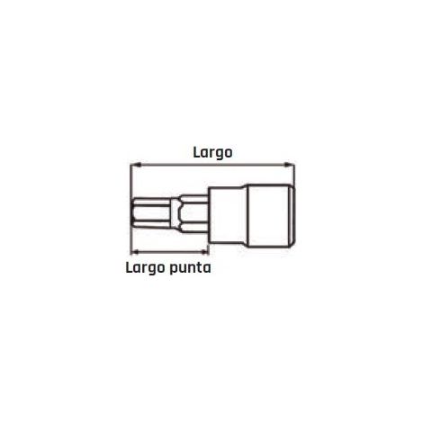 Verre, 1/2, hexagonal, TX55 TENGTOOLS 117440800 (1/2)