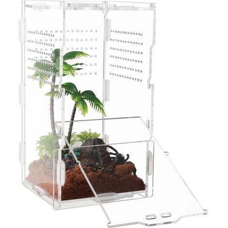 Terrarium Mini boîte de transport en acrylique pour reptiles Transparent à 360° Pour escargots, tarentues, lézards, scorpions (20 x 10 x 10 cm) (1/5)