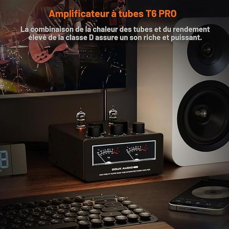 Bluetooth Amplifier Amplificateur à Tube TPA3255 pour Home Theater Audio System (1/4)