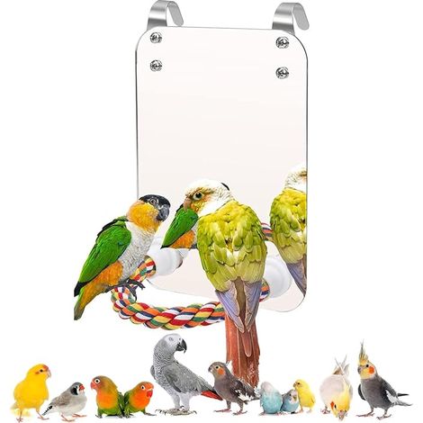 Jouet Miroir Acrylique Support Corde (1/5)