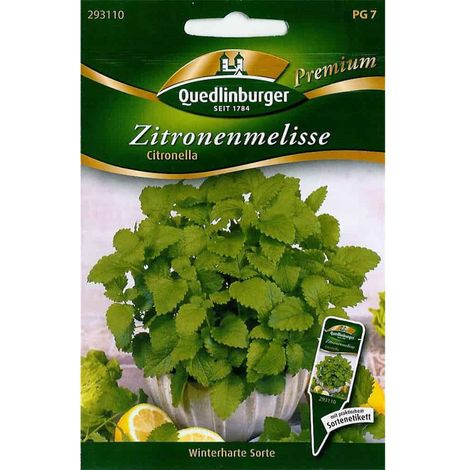 Quedlinburger Zitronenmelisse Citronella - Kräutersamen (1/2)