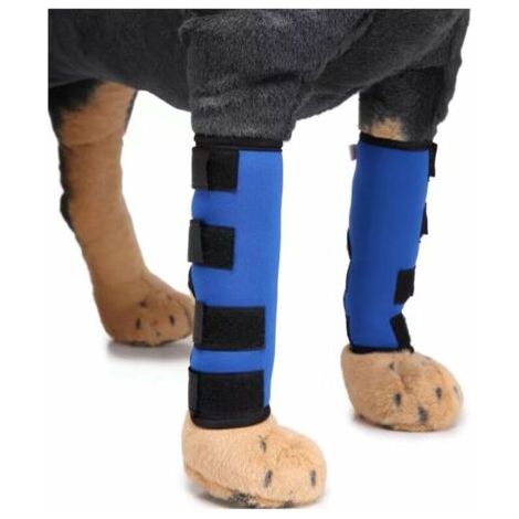 VtiziklGenouillères pour animaux de compagnie avec bandes de soutien Protège-jambes pour chiens Jambes de chien Protecteur pour animaux de compagnie Couverture de blessure pour chirurgie de chien (Ble