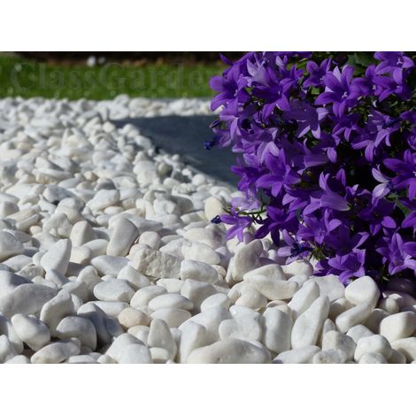 Classgarden – Galet décoratif blanc brillant 6-15 mm – Sac de 20 kg – Idéal pour parterres et allées – Épaisseur recommandée 3 cm (1/5)