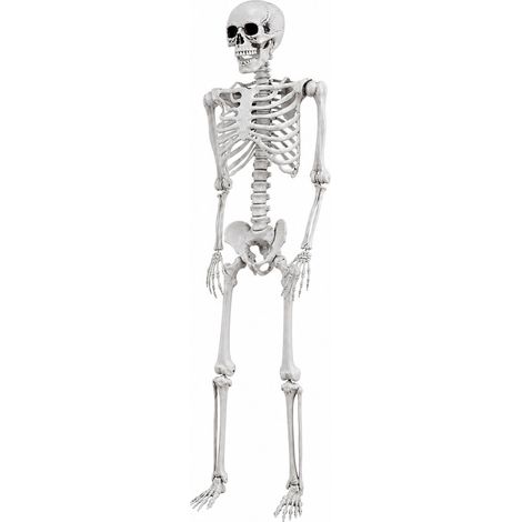 Yezi Halloween Skeleton Life Size 169cm Posable Jointed ABS Spooky Patio White (1/4)