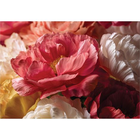 Papier peint mural fleurs pivoines roses intissé grand format design intérieur salon chambre pas cher 200x140 cm (1/5)