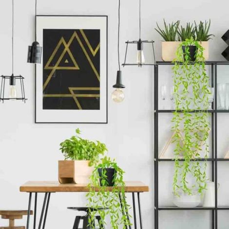 Plantes Artificielles - - Guirlande d'Eucalyptus - 2 Pièces - 87 cm - Sans Maintenance (1/3)