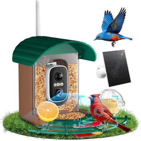 Mangeoire Oiseaux - 1 Unité - Plastique Résistant - Caméra 2K Solaire IA - Jardin Extérieur - Noir (1/5)