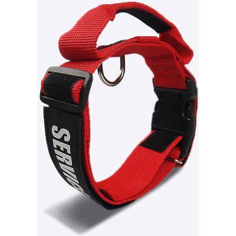 collier Color & Gray Avec Poigne, Fermeture De Scurit Et Logo, 3.8 Mm (45-50 Cm) (1/5)