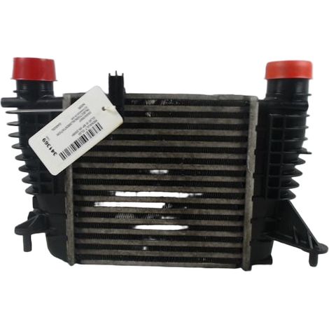 Echangeur Air RENAULT Clio III 2005- [PRODUIT D'OCCASION]♻️8200471888