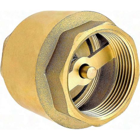 Clapet anti-retour en laiton robuste de 38 mm (1 1/2 pouce) - Résistant à la rouille et étanche - Pour pompes, fontaines, machines à laver, jardin, récupérateurs d'eau de pluie, bars (1/5)