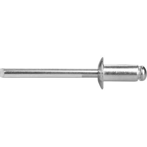 Rivetti ciechi in alluminio EXTOL PREMIUM set da 500 pezzi, O 4,8x9,6mm testa piatta 8813863 (1/3)