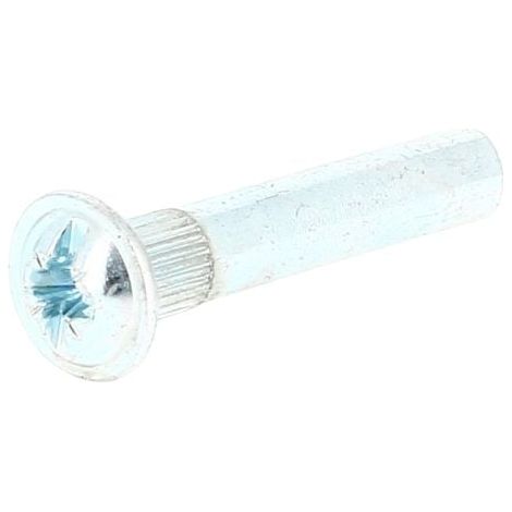 Écrou Poëlier Pozidriv N°2 M4X28 Acier Zingué (1/2)