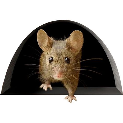 Niedlicher Maus-Wandaufkleber – Küchendeko – Kreative Wohndeko (1/5)