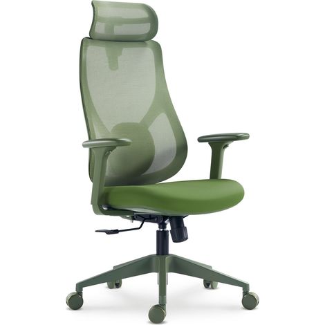 Chaise de bureau exécutive et ergonomique, pivotante avec renfort lombaire, réglable en hauteur. Modèle Bruno couleur verte (1/5)