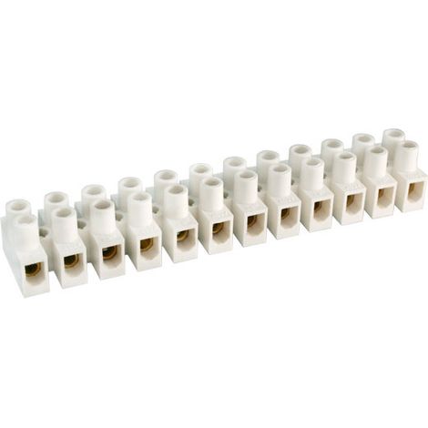 Barrette de connexion à 12 éléments Courant 10A/24A. Sec. 2,5 mm². Electro DH Couleur Blanc 10.777/2.5 8430552117376