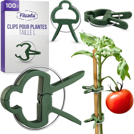Pflanzenclips – 100 Stück – Kunststoff – Stängelstützen – Gemüsegarten – Grün (1/5)