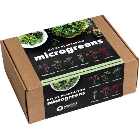 Kit d'autoculture de micro-pousses (1/3)