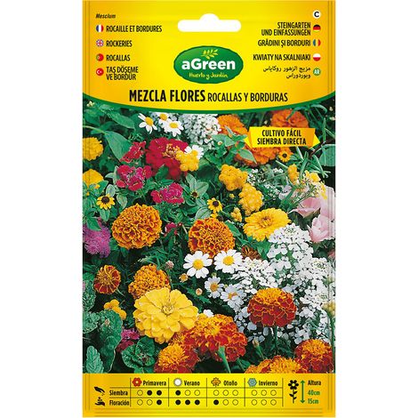 Über die Samen Gemischte Blumen Steine und Kanten 300595bolsh Daccord - Agreen (1/2)
