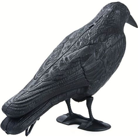 Corbeau - Répulsif Oiseaux - Décoration Jardin Extérieur - Imitation Corbeau en Plastique - Lot de 2 (1/3)