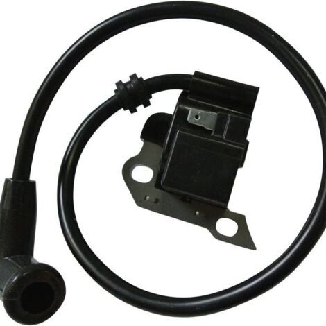 Bobine d'allumage pour souffleur à dos Stihl BR340 BR340 L BR380 BR420 BR420 C SR340 SR420 avec bougie d'allumage, pièces de rechange 4203 400 1302 (1/4)