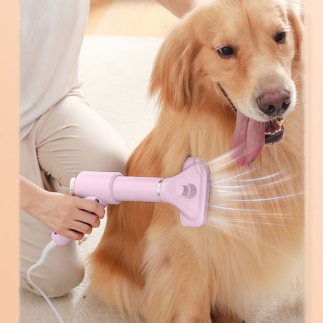 Sèche-cheveux Pour Animaux - Sèche-cheveux Et Brosse À Poils 2-en-1 - Réglage De Température Et Débit D'air En 3 Positions - Pour Chiens Et Chats - 300 W (1/5)
