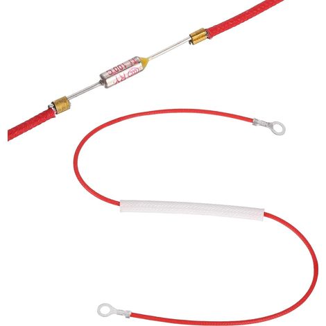 Fusible Thermique Universel 100°C 10A 250V Fusible Thermique (1/5)