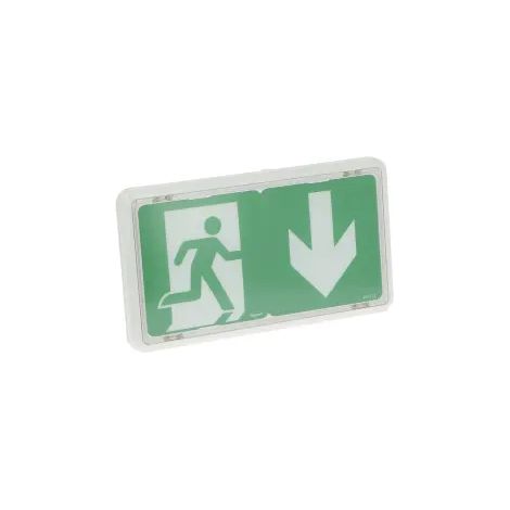 Legrand – Éclairage de sécurité Baes Evac IP43 – Protection contre l'humidité et la poussière – Pour environnements de travail – Installation facile (1/2)