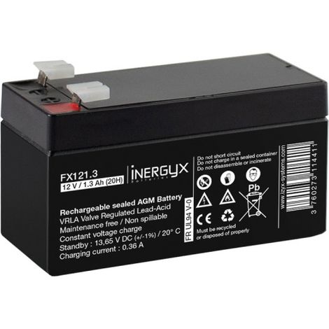 Select IZYX FX121.3 Batería recargable 12V 1,3Ah