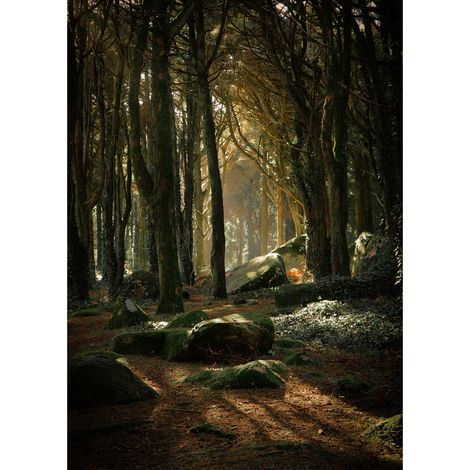 Tableau sur verre synthétique sous bois 80x120 cm - Impression sur Verre synthétique - Image HD imprimée sur Verre synthétique - Tableau mural décoratif - Fabriqué en France (1/5)