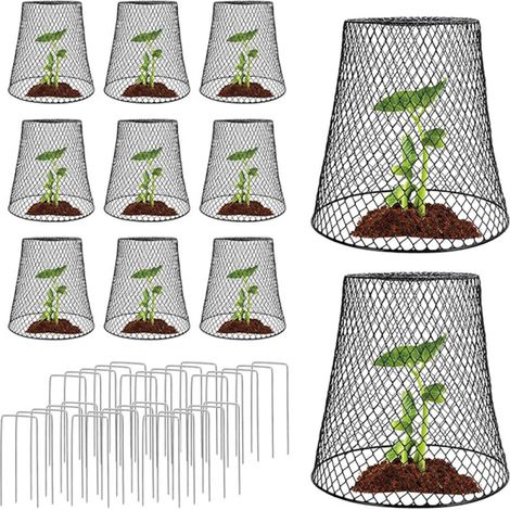 10 cloches de jardin, protection en treillis métallique, cages pour plantes, noir (1/5)