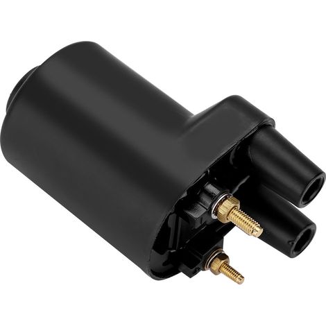 Bobine d'allumage pour générateur électrique, compatible avec ONAN BF B43 B48 166-0772 (1/5)